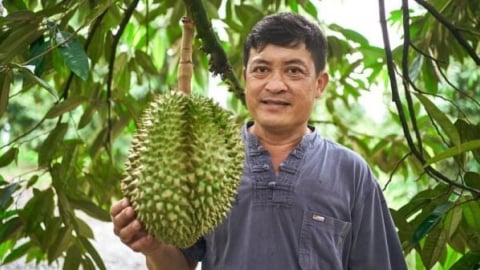 Yara Việt Nam đồng hành cùng nông dân Đắk Lắk canh tác nông nghiệp bền vững
