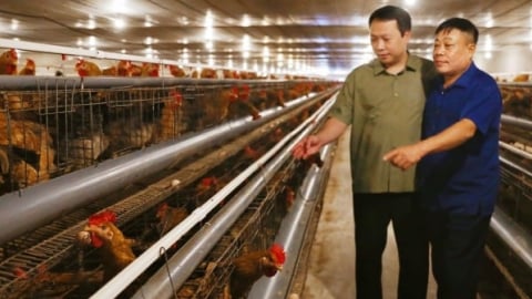 Chăn nuôi Thái Nguyên nổi bật nhờ công nghệ: [Bài cuối] Công nghệ số thúc đẩy chuyển dịch xanh
