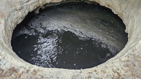 Trang trại lợn nằm trong khu dân cư, xả thải ra môi trường