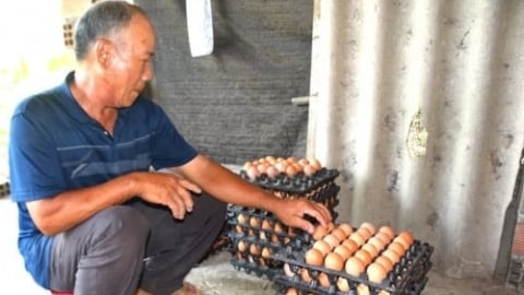 Tin đồn 'trứng gà giả' khiến sức mua chững lại