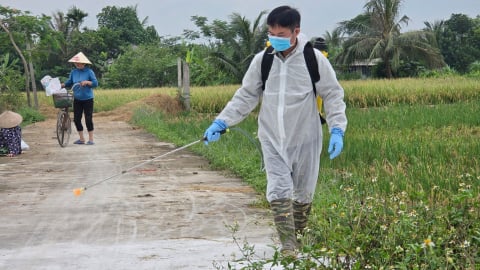 Chi hơn 144 tỷ đồng phòng, chống dịch bệnh động vật