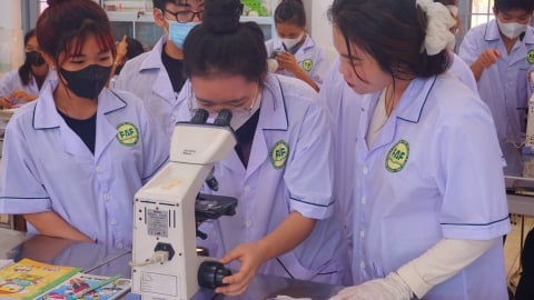 Doanh nghiệp 'khát' nhân sự thú y