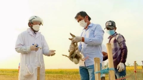 Chăm dùng vaccine, vật nuôi khỏe, người nuôi nhàn