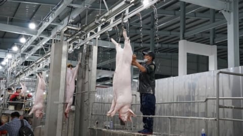 Gỡ khó cho giết mổ tập trung: [Bài 2] Doanh nghiệp chưa mặn mà
