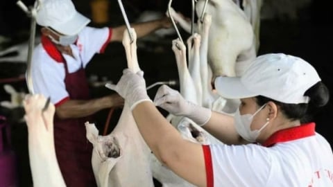 Gỡ khó xây dựng giết mổ tập trung: [Bài 4] Góp phần phòng chống dịch bệnh