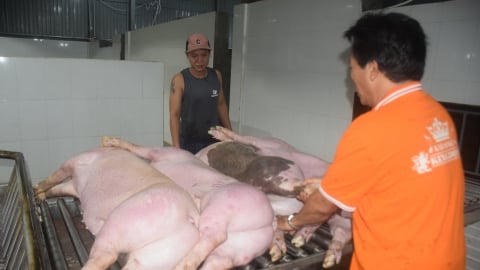 Cả tỉnh Đắk Nông có duy nhất 1 cơ sở giết mổ tập trung nhỏ
