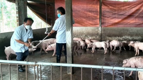 Lo đứt gãy hệ thống thú y: [Bài cuối] Mong muốn có trạm liên vùng