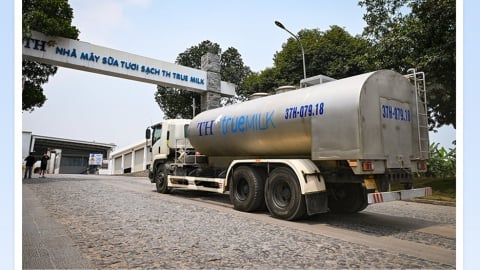 Loạt sáng kiến xanh giúp giảm dấu chân carbon tại các nhà máy TH true MILK