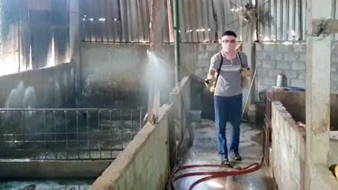 Khó thay đổi tâm lý chủ quan của người chăn nuôi trong phòng chống dịch bệnh