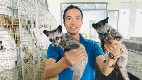 Thu nhập tiền tỷ từ nuôi dúi, don, chồn theo chuỗi khép kín