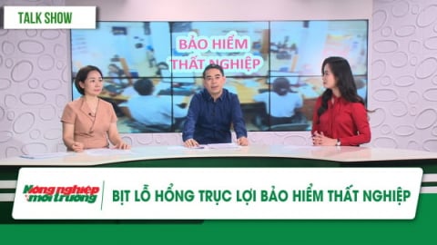 Bịt lỗ hổng trục lợi bảo hiểm thất nghiệp