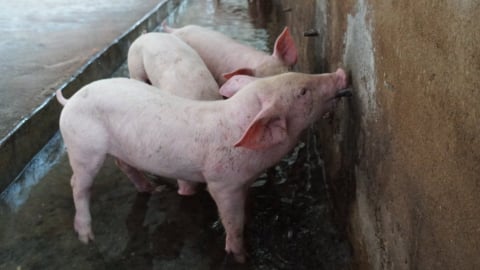 [Bài 2] Áp dụng công nghệ, giảm rủi ro và tăng hiệu quả