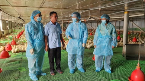Quảng Ninh không phát sinh ổ dịch bệnh nguy hiểm