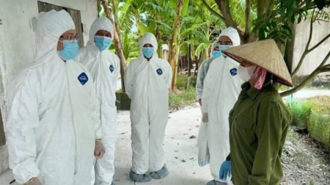 Thú y Hải Phòng sau sáp nhập: [Bài 1] Nền tảng từ chiến lược đầu tư toàn diện