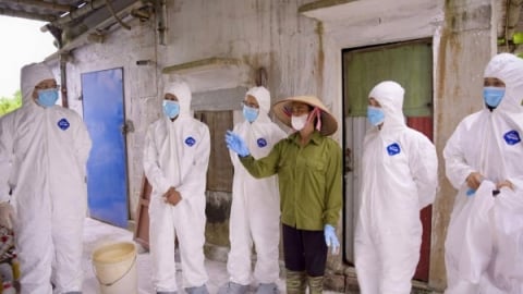 Thú y Hải Phòng sau sáp nhập: [Bài cuối] Cơ hội vàng kiện toàn hệ thống thú y