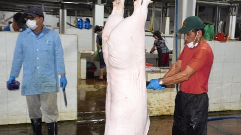 Phòng chống dịch tả lợn Châu Phi từ cơ sở giết mổ