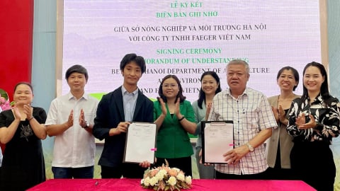 Hà Nội hợp tác phát triển tín chỉ carbon từ canh tác lúa