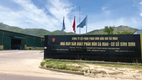Phân bón Cà Mau đầu tư 120 tỷ đồng mở rộng sản xuất tại Gia Lai