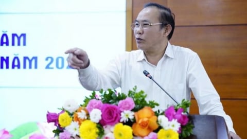 Trăn trở về một chương trình quốc gia phòng chống dịch tả lợn Châu Phi