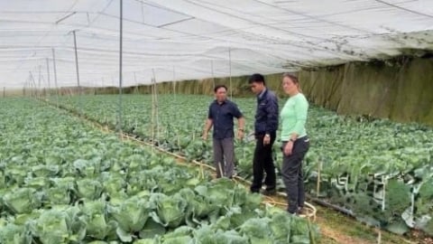 Sumitomo Chemical Việt Nam cùng nhà nông vun đắp niềm tin bền vững