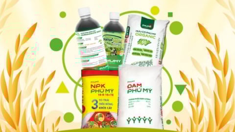 Phú Mỹ/PVFCCo ra mắt phân bón hữu cơ Phú Mỹ Organic