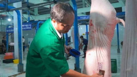 Hệ thống thú y cơ sở là ‘xương sống’ phòng chống dịch bệnh động vật
