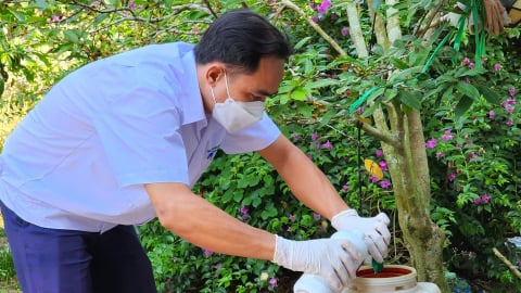 Xã, phường chịu trách nhiệm nếu để dịch tả heo Châu Phi lan rộng