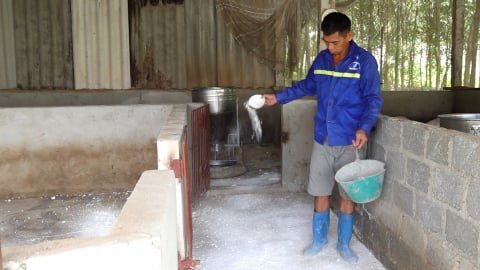 Dịch tả lợn Châu Phi xuất hiện tại 49 xã, phường của Thái Nguyên