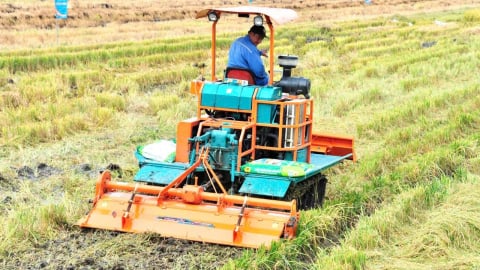Lời kể từ nhà nông về phân bón Đầu Trâu Bio-Canxi