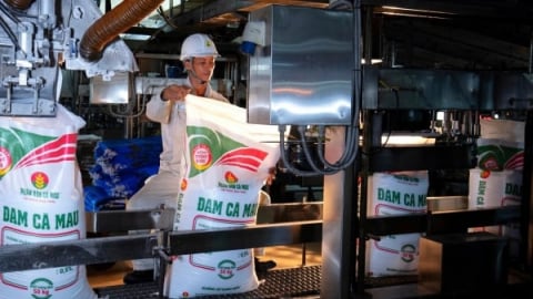 PVCFC kết quả kinh doanh bứt phá - Sức khỏe tài chính mạnh mẽ