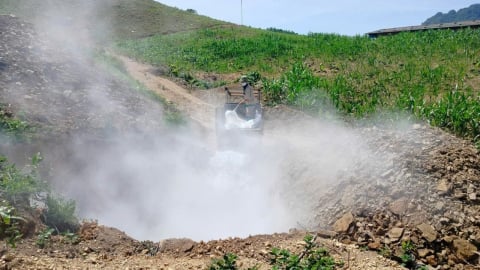 Dịch tả lợn Châu Phi tàn phá khủng khiếp ở Phú Thọ
