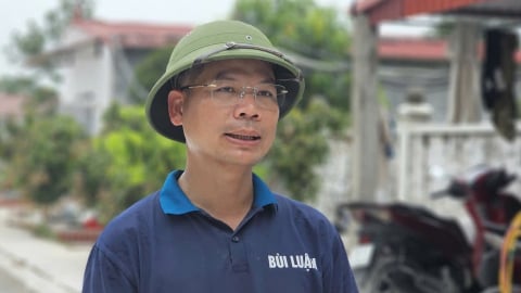 Dịch tả lợn Châu Phi: Giải pháp của chủ trang trại lớn nhất tỉnh Phú Thọ