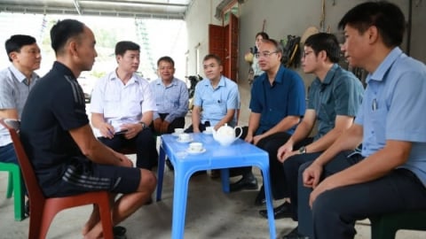Kiểm tra loạt điểm nóng dịch tả lợn Châu Phi