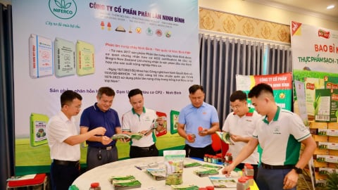 Phân lân Ninh Bình đồng hành cùng nông sản chủ lực vùng Bắc Trung bộ
