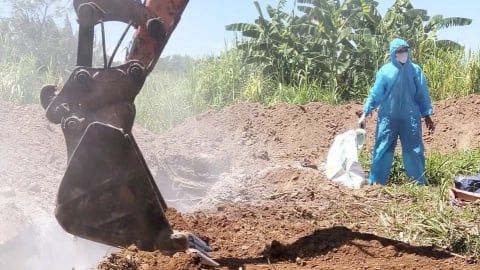 Chăn nuôi nông hộ vỡ trận vì dịch tả lợn Châu Phi: [Bài cuối] Nông dân lao đao vì cụt vốn liếng