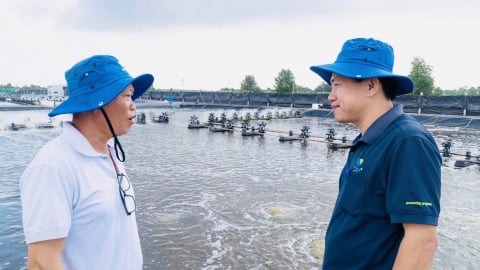 Tôm tuần hoàn, hướng đi mới cho thủy sản Cà Mau