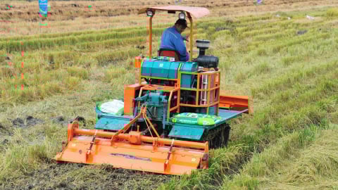 Phân bón Đầu Trâu Bio-Canxi: Vì một nền nông nghiệp bền vững