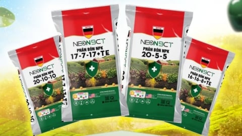 Ra mắt sản phẩm NEONBCT, giải pháp phân bón giảm phát thải cho đồng ruộng