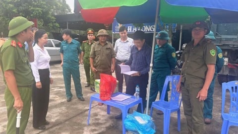 Vân Đồn công bố dịch tả lợn Châu Phi