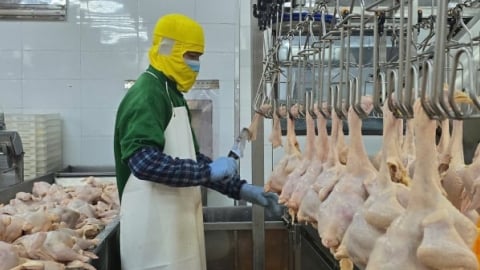 Hải Phòng đẩy mạnh truy xuất thịt, trứng bằng mã QR