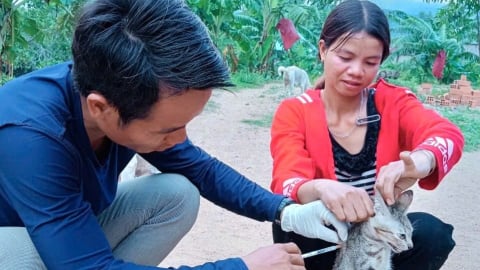 Thú y cơ sở được kiện toàn, ngành chăn nuôi thêm điểm tựa