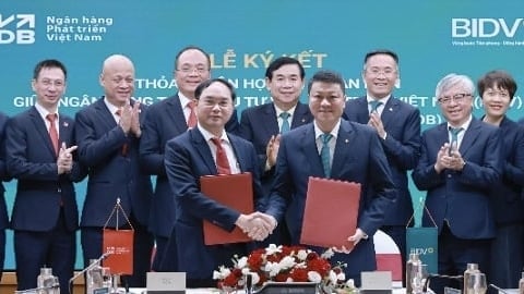 BIDV và VDB tăng cường hợp tác, hướng tới phát triển bền vững