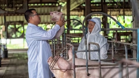 Phúc lợi động vật và khoảng trống pháp lý cần sớm lấp đầy