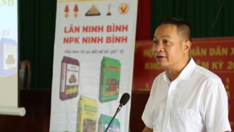Giải pháp dinh dưỡng cây trồng phù hợp với khu vực Tây Nguyên