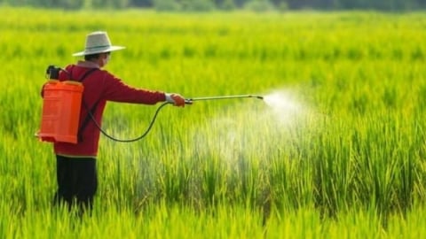 Tháo gỡ vướng mắc trong thực thi quy định mới về thuốc bảo vệ thực vật