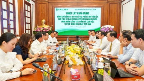Dự án Muối mỏ Kali Lào đang trong giai đoạn nước rút quan trọng
