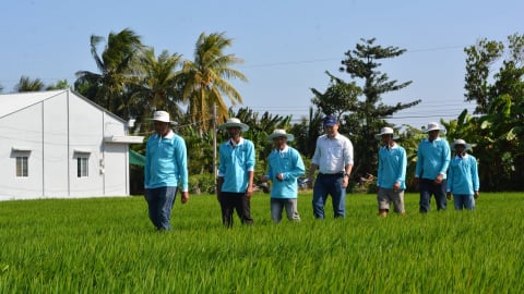 Nichino Việt Nam đồng hành cùng nhà nông