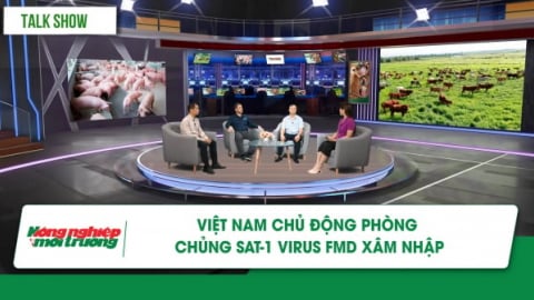 Việt Nam chủ động phòng chủng SAT-1 virus lở mồm long móng xâm nhập
