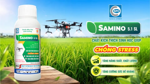Samino 5.1SL: Sản phẩm chống sốc đặc biệt dành cho cây trồng