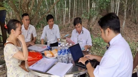 Hệ thống quan trắc môi trường, hướng tới phát triển chăn nuôi xanh và bền vững